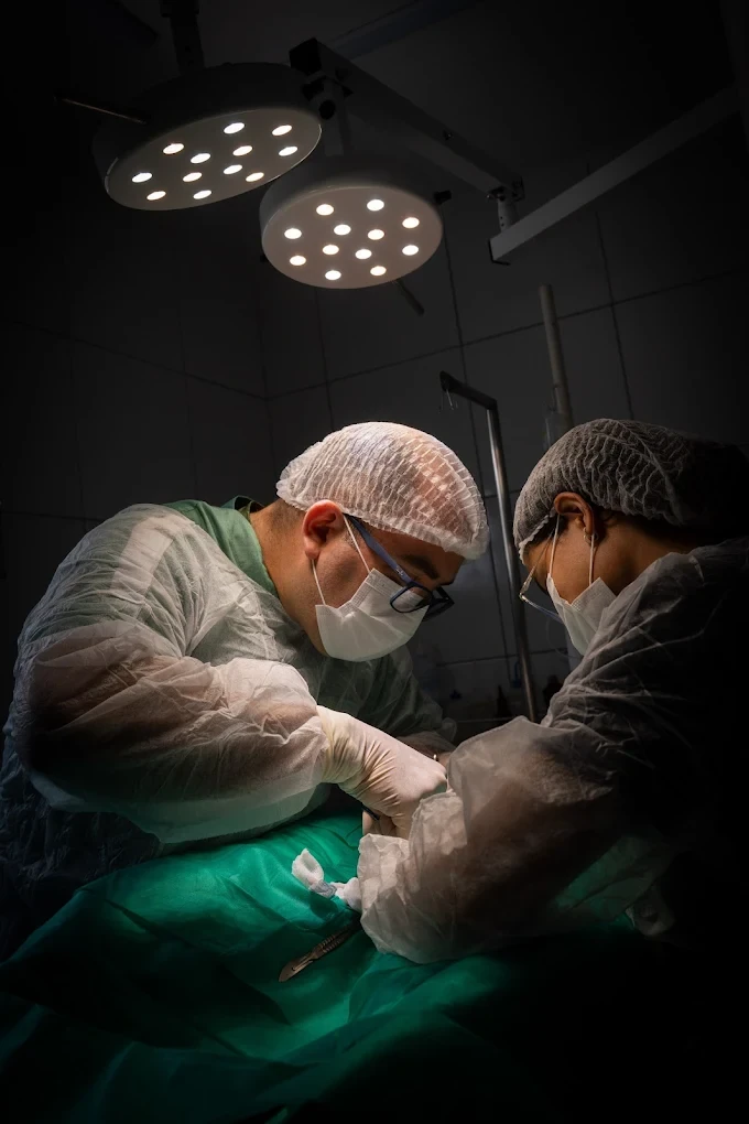dr homero firmo pets house cirurgia oncologia veterinária