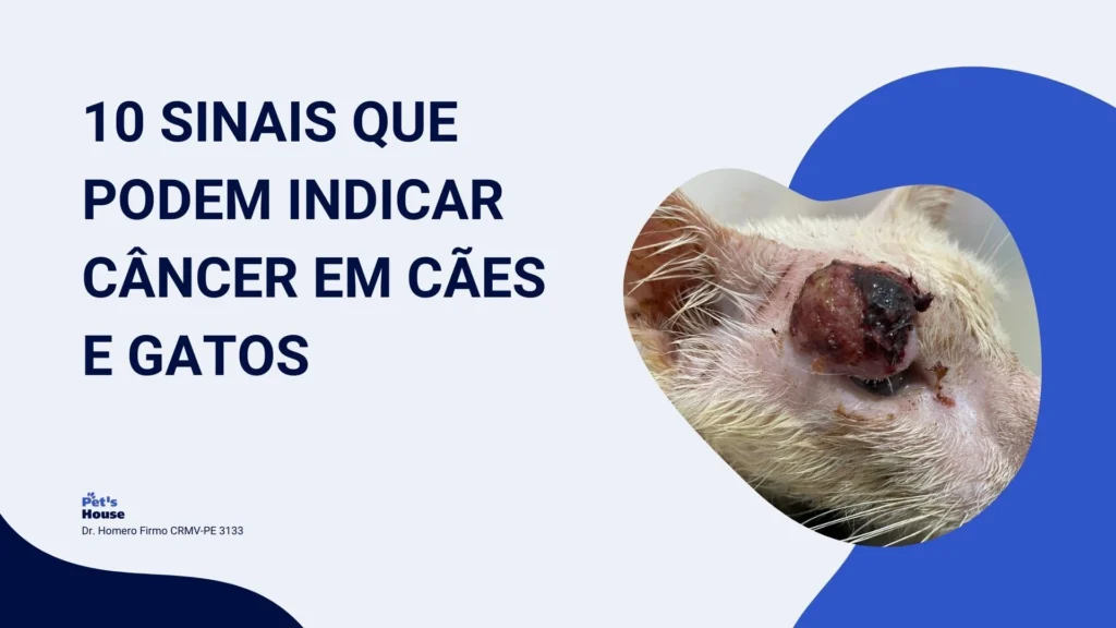 10-sinais-de-cancer-em-cachorros-pets-house