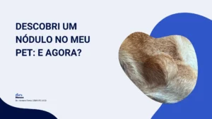 nódulo em cachorro